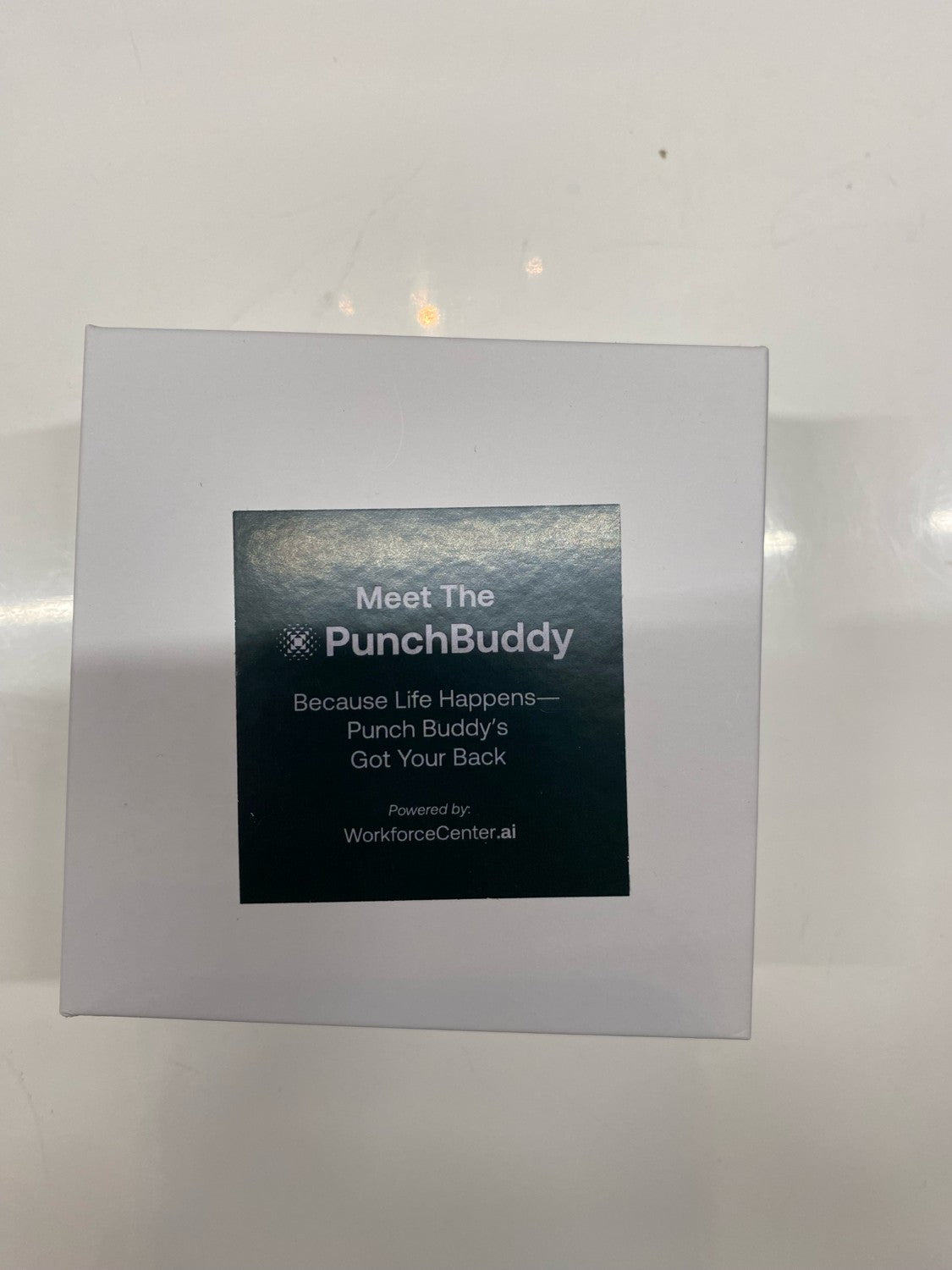 CAR: Punch Buddy